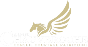 cabinet chauveroche courtage gestion patrimoine sarlat logo new clr bn